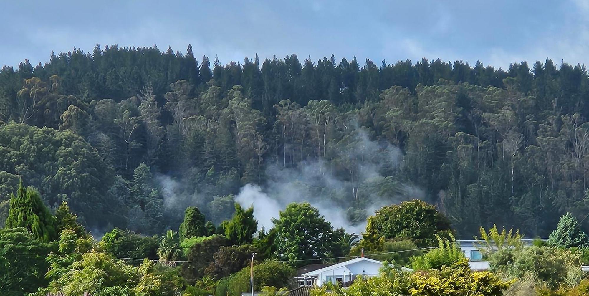 Redwood Apartments Distretto di Distretto di Rotorua Esterno foto